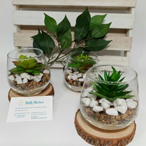 PIANTINA GRASSA AMPOLLA IN VETRO