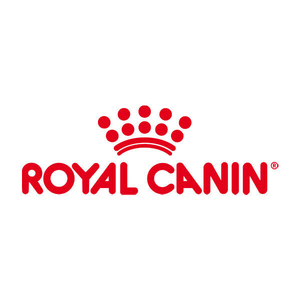Royal Canin Kitten Sterilised in Salsa – Pack 12 pezzi x85g - immagine 3