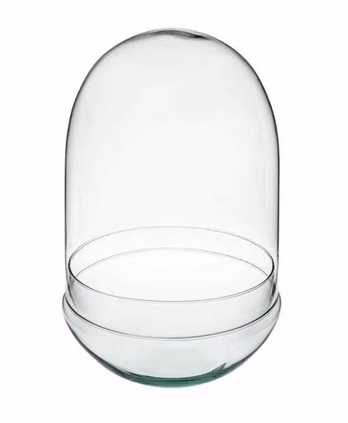 Terrarium in vetro per piante forma ovale cm 18 h30