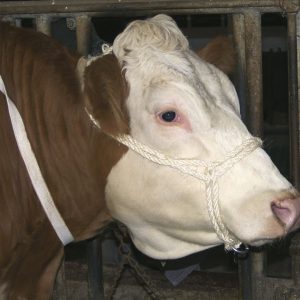 Capezza in sisal con occhiello