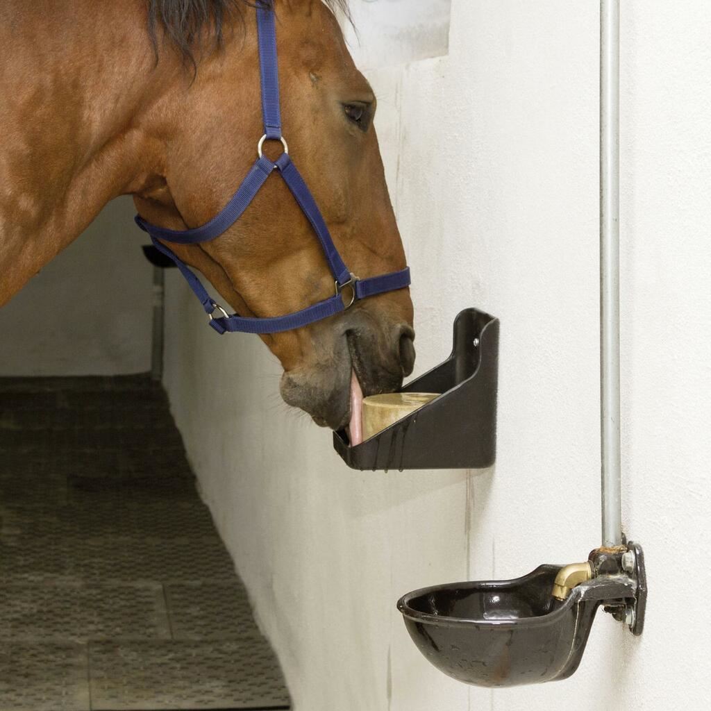 Abbeveratoio G51 con valvola a tubo in ghisa smaltata - immagine 4