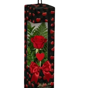 Everyday box middle – Flowerbox con finestra e manico cm 30