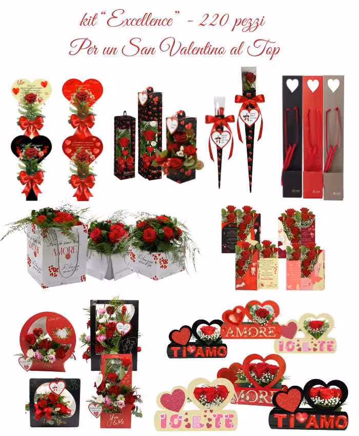 kit Excellence-245 pezzi assortiti