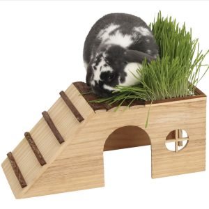 Casetta per roditori Nature con rampa