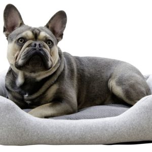 Cuccia per cani antibatterica Graphene