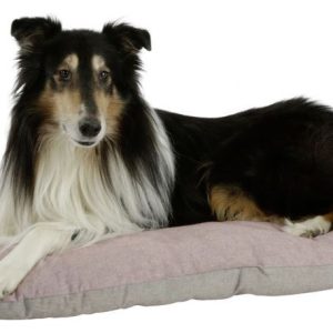 Cuscino da pavimento per cani double face Golden