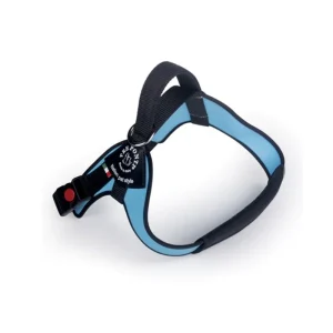 Pett. cani tg. grande Bordo rifrang. MIS. XL AZZURRA