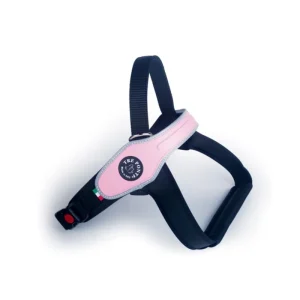 PETTORINA CANI GR TAGLIA BORDO RIFR ROSA M