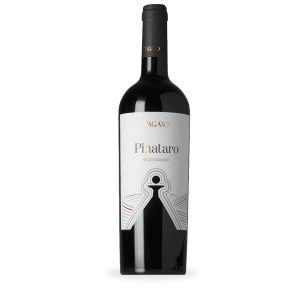 Vino rosso Pinataro – Tagaro